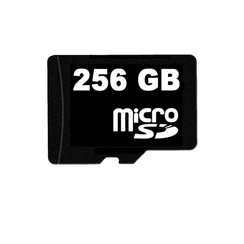 Micro SD card 256 GB